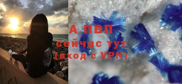 индика Покровск