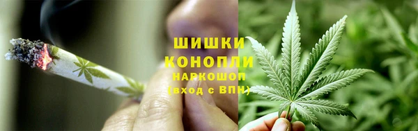 PSILOCYBIN Покров