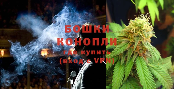 PSILOCYBIN Покров