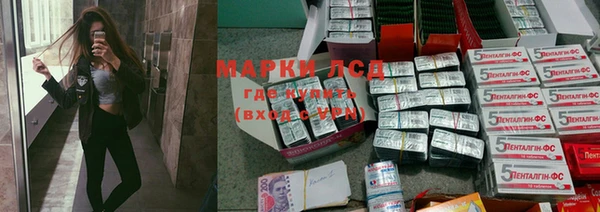 PSILOCYBIN Покров