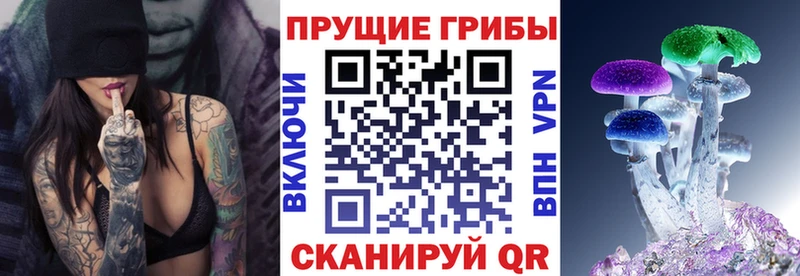 блэк спрут ссылка  Баймак  Галлюциногенные грибы мицелий 