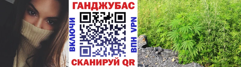 Каннабис гибрид  Баймак 